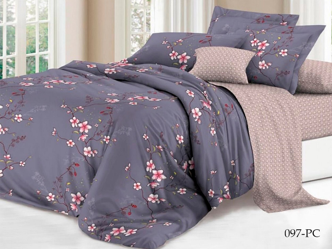 КПБ 1,5сп поплин Pure Cotton PC Клео <PC-097>